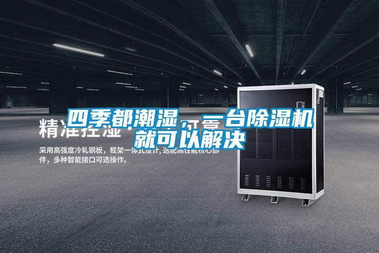 四季都潮濕，一臺除濕機就可以解決