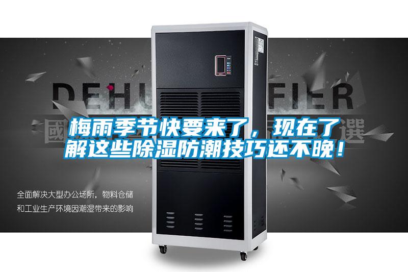 梅雨季節(jié)快要來(lái)了，現(xiàn)在了解這些除濕防潮技巧還不晚！