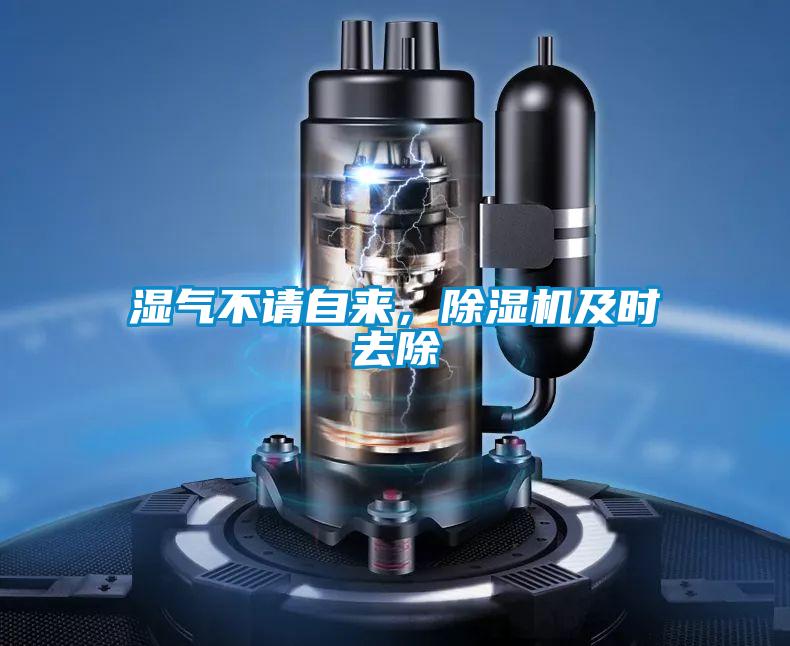 濕氣不請自來,除濕機(jī)及時(shí)去除