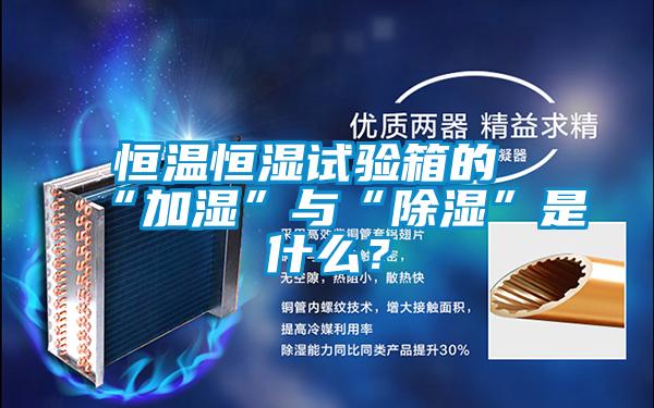 恒溫恒濕試驗(yàn)箱的“加濕”與“除濕”是什么?