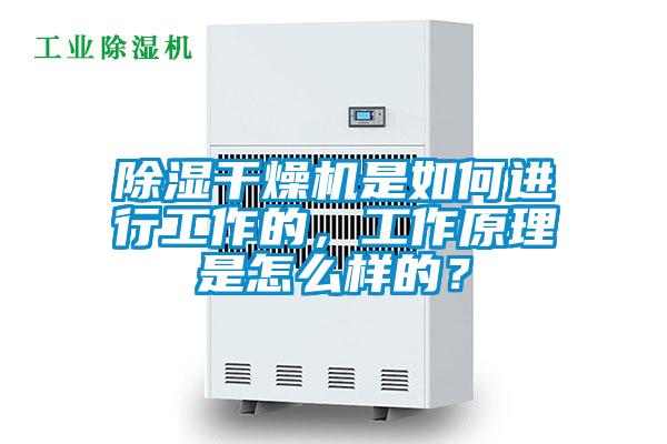 除濕干燥機是如何進行工作的,工作原理是怎么樣的?