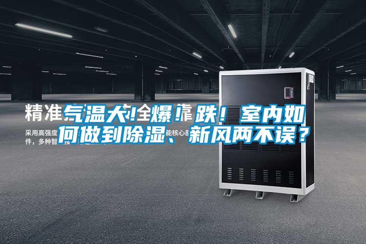 氣溫大！爆！跌！室內如何做到除濕、新風兩不誤？
