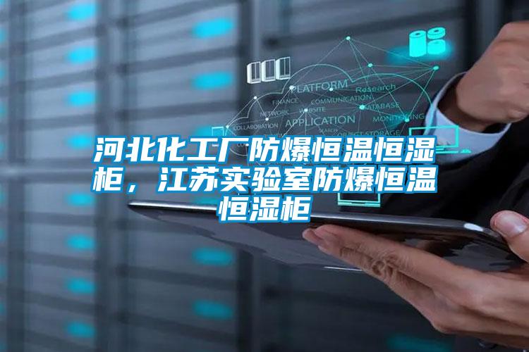 河北化工廠防爆恒溫恒濕柜，江蘇實驗室防爆恒溫恒濕柜