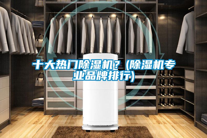 十大熱門除濕機?(除濕機專業品牌排行)
