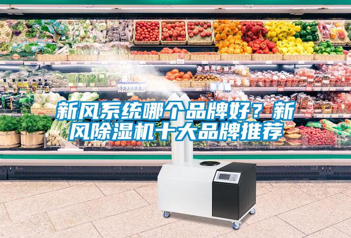 新風系統哪個品牌好？新風除濕機十大品牌推薦