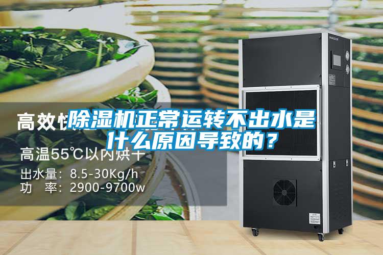 除濕機(jī)正常運轉(zhuǎn)不出水是什么原因?qū)е碌模?/></p>
						    <p style=