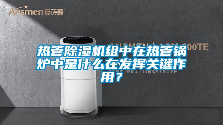 熱管除濕機組中在熱管鍋爐中是什么在發揮關鍵作用？
