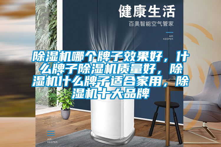 除濕機(jī)哪個(gè)牌子效果好，什么牌子除濕機(jī)質(zhì)量好，除濕機(jī)什么牌子適合家用，除濕機(jī)十大品牌