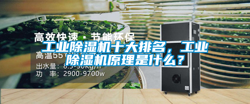工業除濕機十大排名,工業除濕機原理是什么?
