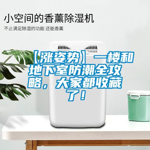 【漲姿勢】一樓和地下室防潮全攻略，大家都收藏了！